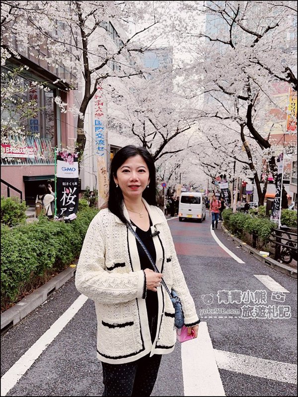 東京澀谷賞櫻景點》櫻丘櫻花坂道，超人氣賞櫻景點~白天夜晚都美麗 @青青小熊＊旅遊札記