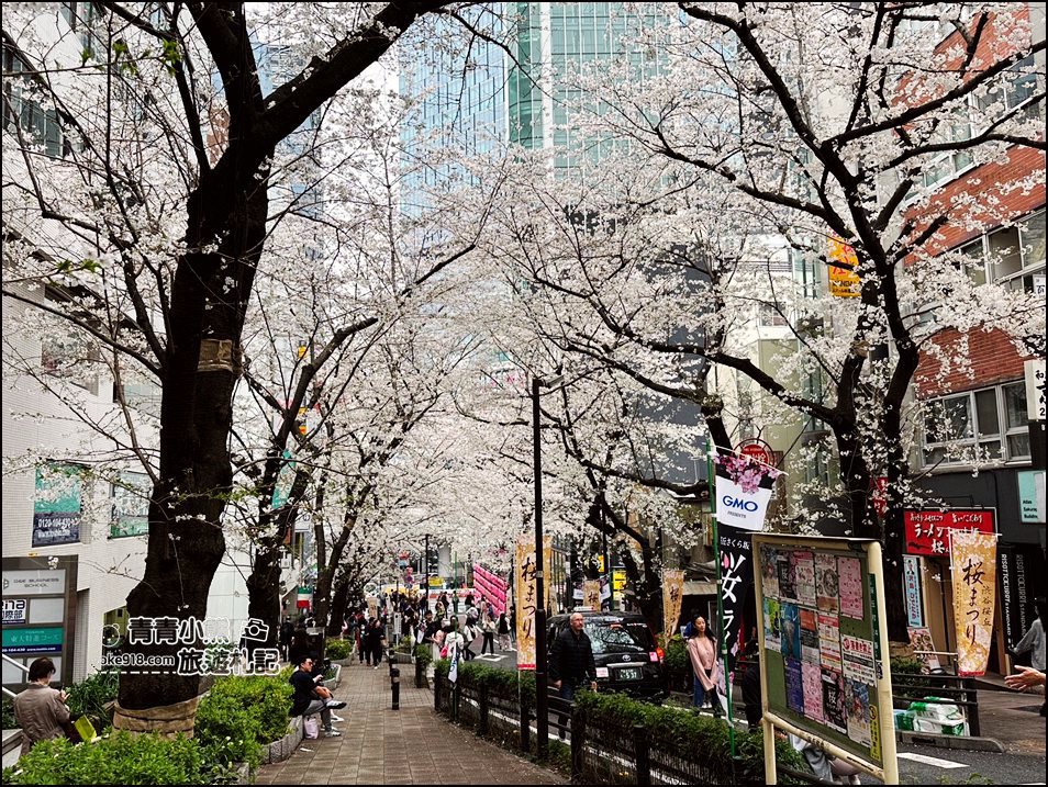 東京澀谷賞櫻景點》櫻丘櫻花坂道,超人氣賞櫻景點~白天夜晚都美麗 @青青小熊*旅遊札記 東京澀谷賞櫻景點》櫻丘櫻花坂道,超人氣賞櫻景點~白天夜晚都美麗 @青青小熊*旅遊札記