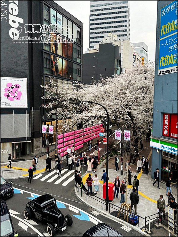 東京澀谷賞櫻景點》櫻丘櫻花坂道,超人氣賞櫻景點~白天夜晚都美麗 @青青小熊*旅遊札記 東京澀谷賞櫻景點》櫻丘櫻花坂道,超人氣賞櫻景點~白天夜晚都美麗 @青青小熊*旅遊札記