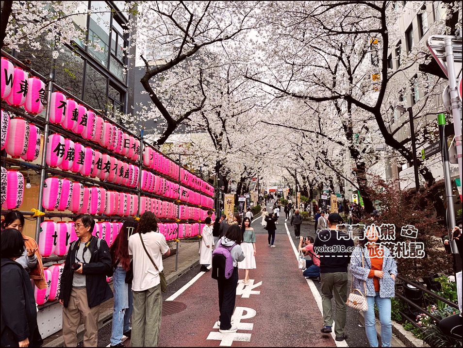 東京澀谷賞櫻景點》櫻丘櫻花坂道，超人氣賞櫻景點~白天夜晚都美麗 @青青小熊＊旅遊札記