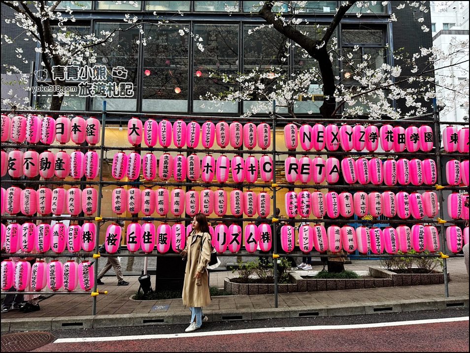 東京澀谷賞櫻景點》櫻丘櫻花坂道,超人氣賞櫻景點~白天夜晚都美麗 @青青小熊*旅遊札記 東京澀谷賞櫻景點》櫻丘櫻花坂道,超人氣賞櫻景點~白天夜晚都美麗 @青青小熊*旅遊札記