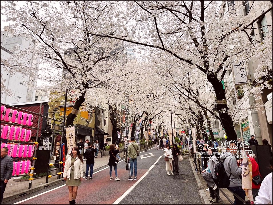東京澀谷賞櫻景點》櫻丘櫻花坂道,超人氣賞櫻景點~白天夜晚都美麗 @青青小熊*旅遊札記 東京澀谷賞櫻景點》櫻丘櫻花坂道,超人氣賞櫻景點~白天夜晚都美麗 @青青小熊*旅遊札記