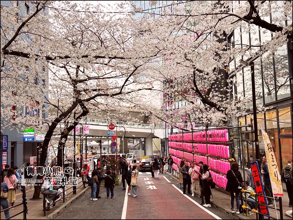 東京澀谷賞櫻景點》櫻丘櫻花坂道，超人氣賞櫻景點~白天夜晚都美麗 @青青小熊＊旅遊札記