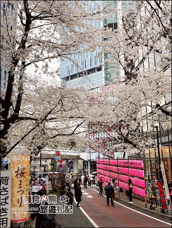 東京澀谷賞櫻景點》櫻丘櫻花坂道,超人氣賞櫻景點~白天夜晚都美麗 @青青小熊*旅遊札記 東京澀谷賞櫻景點》櫻丘櫻花坂道,超人氣賞櫻景點~白天夜晚都美麗 @青青小熊*旅遊札記