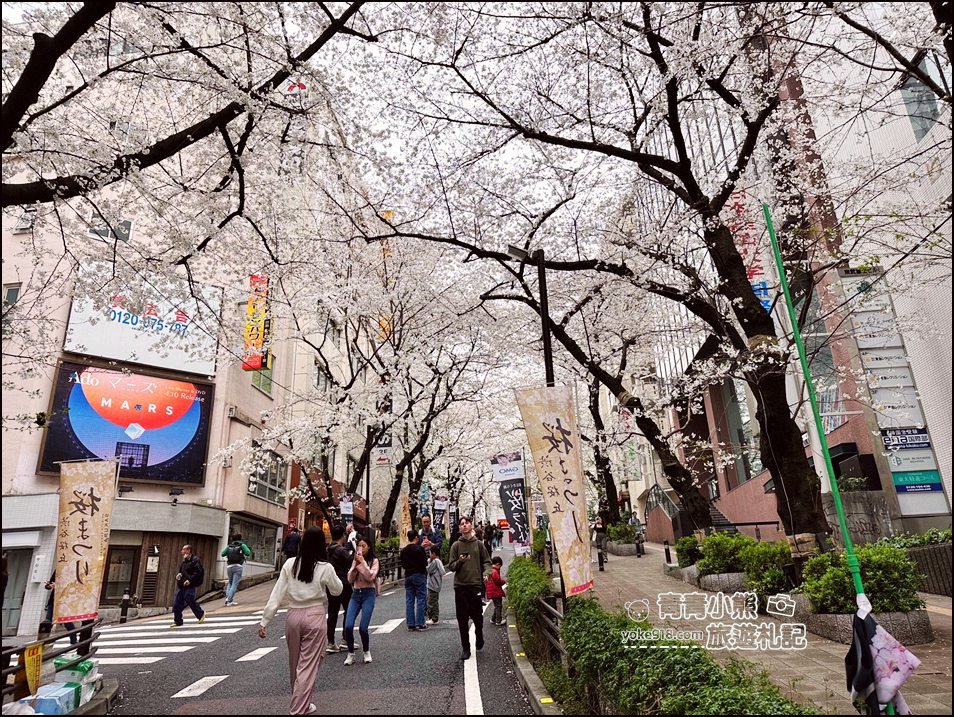 東京澀谷賞櫻景點》櫻丘櫻花坂道,超人氣賞櫻景點~白天夜晚都美麗 @青青小熊*旅遊札記 東京澀谷賞櫻景點》櫻丘櫻花坂道,超人氣賞櫻景點~白天夜晚都美麗 @青青小熊*旅遊札記