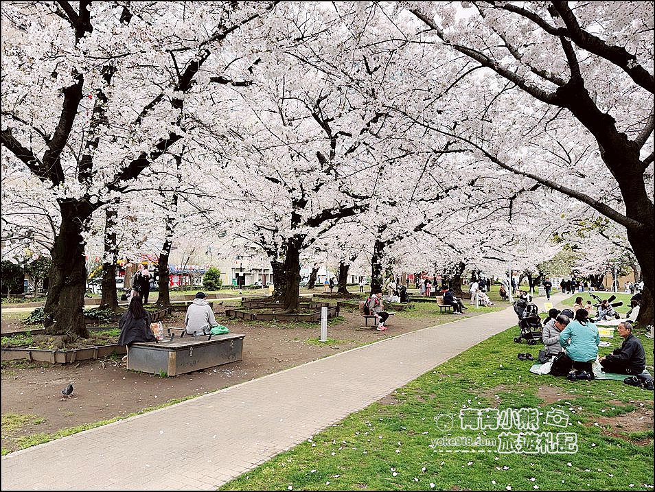 東京櫻花景點》錦糸町錦糸公園賞櫻花~與晴空塔一起野餐賞櫻 @青青小熊＊旅遊札記