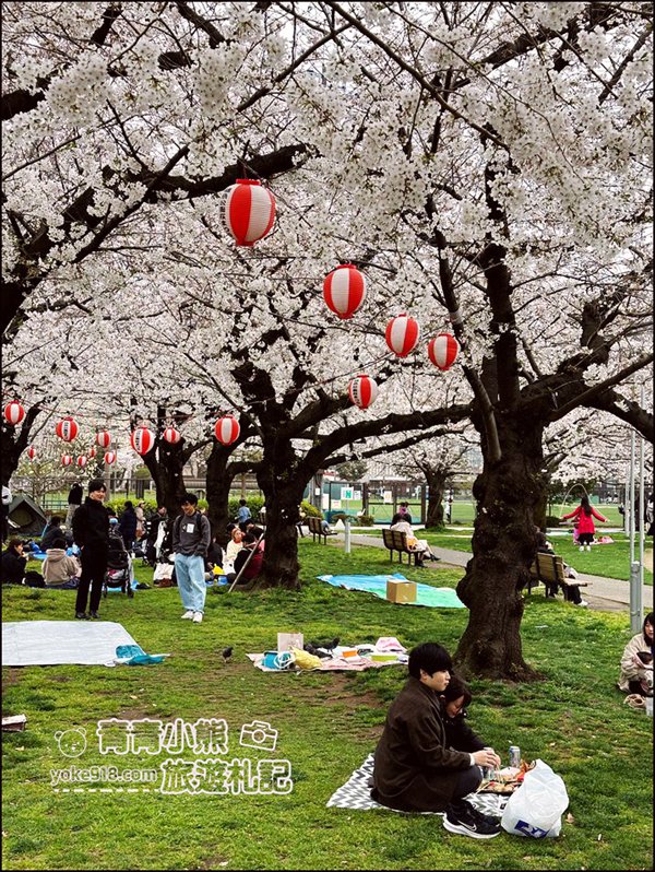 東京櫻花景點》錦糸町錦糸公園賞櫻花~與晴空塔一起野餐賞櫻 @青青小熊＊旅遊札記