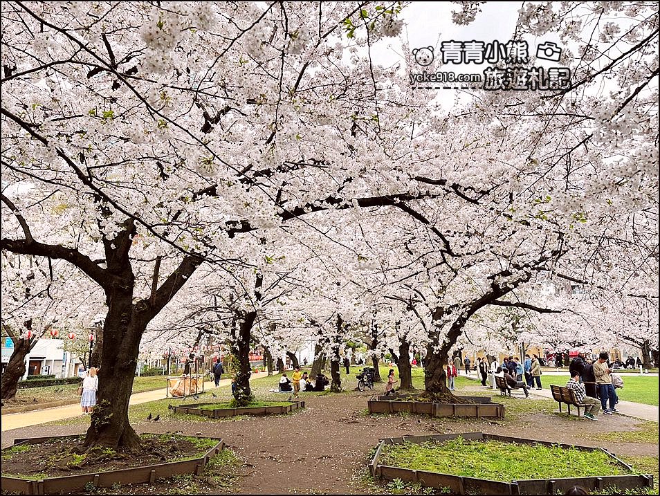 東京櫻花景點》錦糸町錦糸公園賞櫻花~與晴空塔一起野餐賞櫻 @青青小熊＊旅遊札記