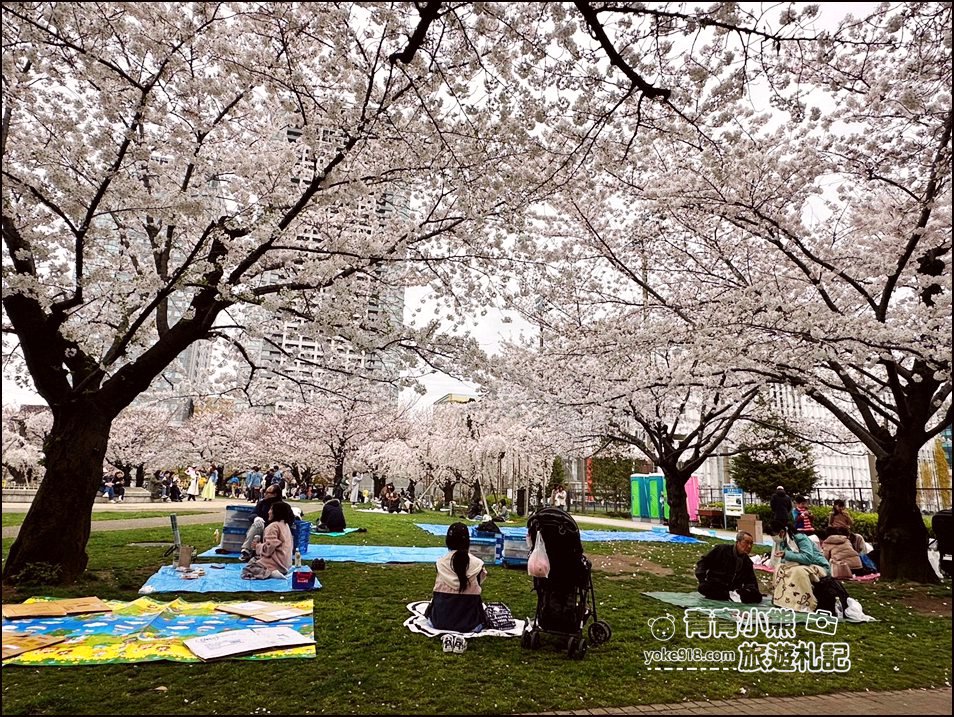 東京櫻花景點》錦糸町錦糸公園賞櫻花~與晴空塔一起野餐賞櫻 @青青小熊＊旅遊札記