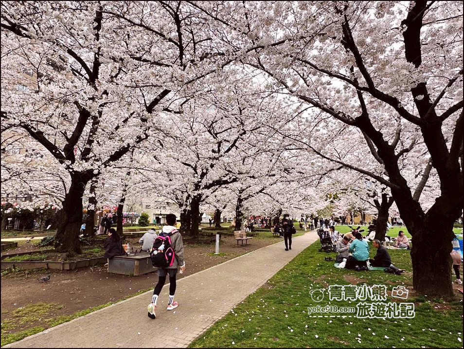 東京櫻花景點》錦糸町錦糸公園賞櫻花~與晴空塔一起野餐賞櫻 @青青小熊＊旅遊札記