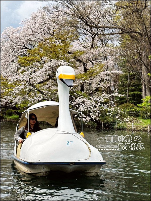 東京賞櫻景點》井之頭恩賜公園~吉祥寺櫻花名所百選，櫻花季來這划船賞櫻好悠閒 @青青小熊＊旅遊札記