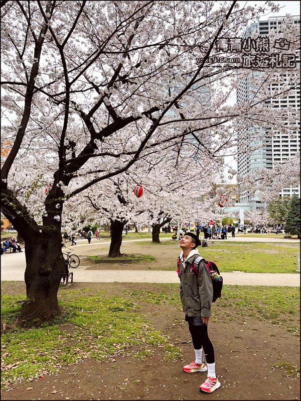 東京櫻花景點》錦糸町錦糸公園賞櫻花~與晴空塔一起野餐賞櫻 @青青小熊＊旅遊札記