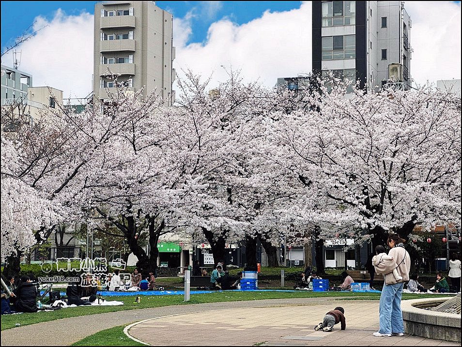 東京櫻花景點》錦糸町錦糸公園賞櫻花~與晴空塔一起野餐賞櫻 @青青小熊＊旅遊札記