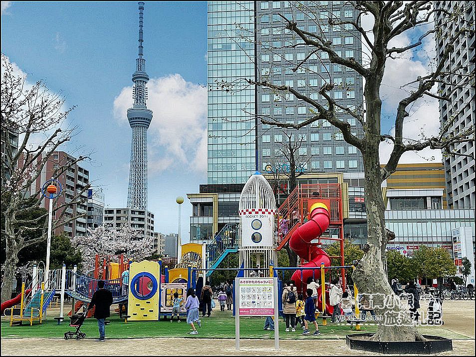 東京櫻花景點》錦糸町錦糸公園賞櫻花~與晴空塔一起野餐賞櫻 @青青小熊＊旅遊札記