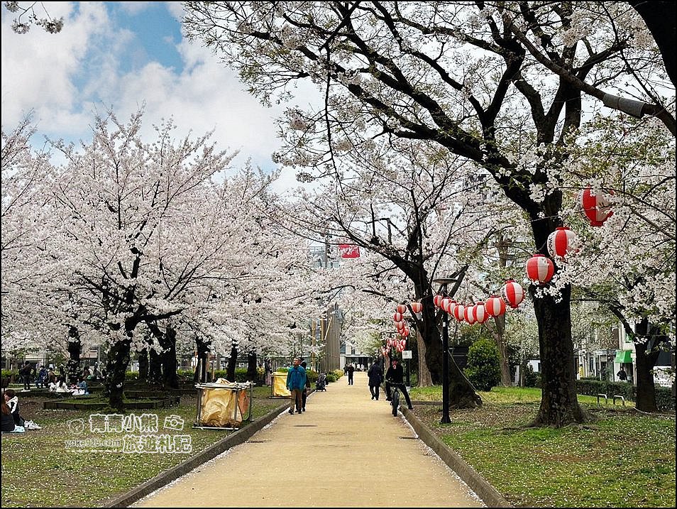 東京櫻花景點》錦糸町錦糸公園賞櫻花~與晴空塔一起野餐賞櫻 @青青小熊＊旅遊札記