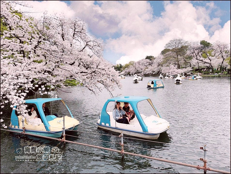 東京賞櫻景點》井之頭恩賜公園~吉祥寺櫻花名所百選，櫻花季來這划船賞櫻好悠閒 @青青小熊＊旅遊札記