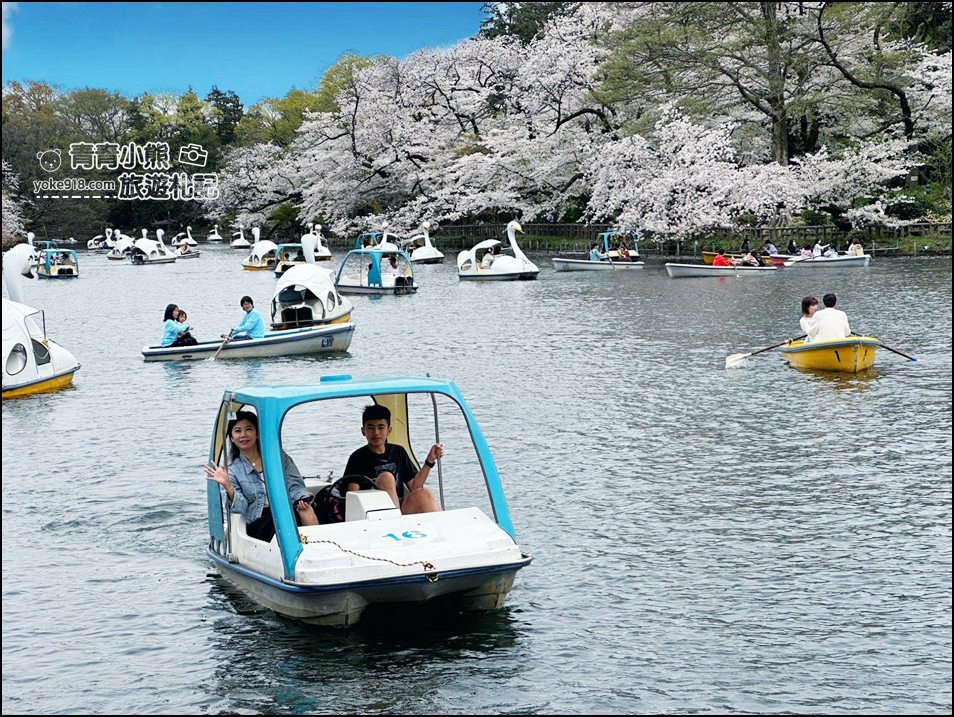 東京賞櫻景點》井之頭恩賜公園~吉祥寺櫻花名所百選，櫻花季來這划船賞櫻好悠閒 @青青小熊＊旅遊札記