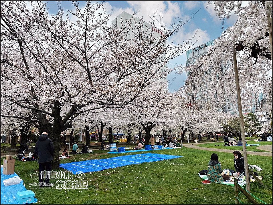 東京櫻花景點》錦糸町錦糸公園賞櫻花~與晴空塔一起野餐賞櫻 @青青小熊＊旅遊札記