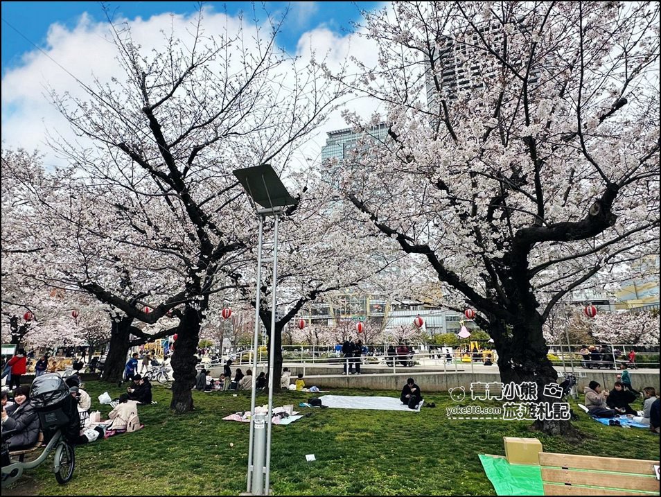東京櫻花景點》錦糸町錦糸公園賞櫻花~與晴空塔一起野餐賞櫻 @青青小熊＊旅遊札記
