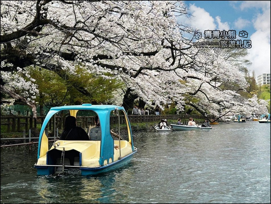 東京賞櫻景點》井之頭恩賜公園~吉祥寺櫻花名所百選，櫻花季來這划船賞櫻好悠閒 @青青小熊＊旅遊札記