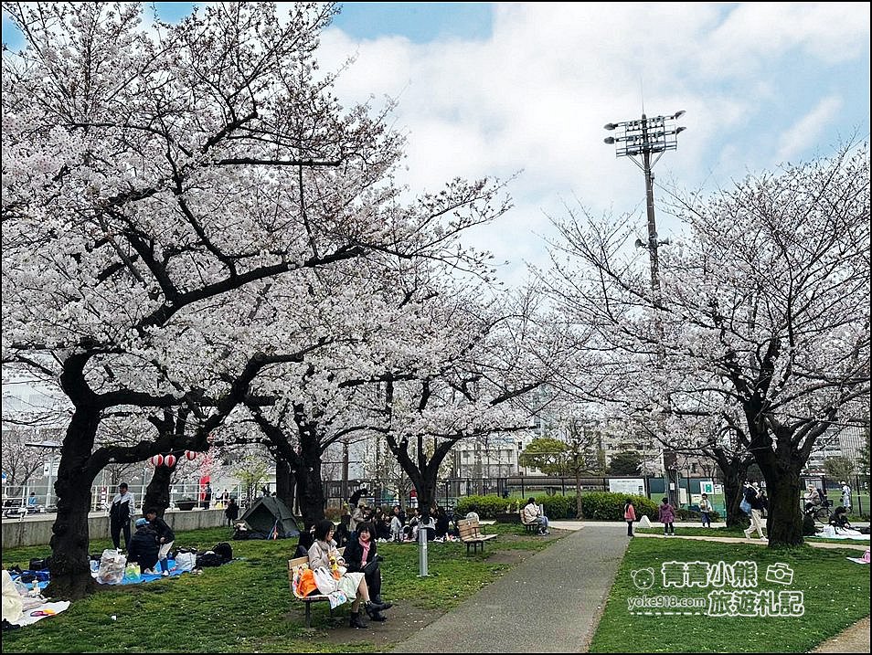 東京櫻花景點》錦糸町錦糸公園賞櫻花~與晴空塔一起野餐賞櫻 @青青小熊＊旅遊札記