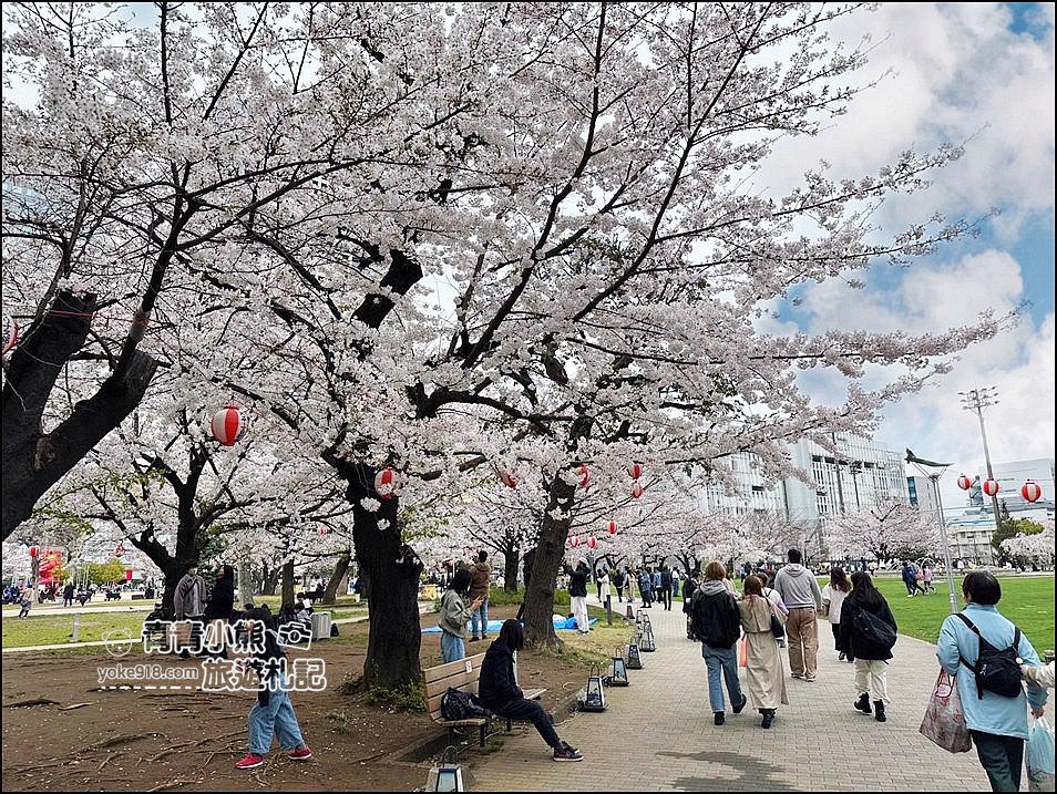 東京櫻花景點》錦糸町錦糸公園賞櫻花~與晴空塔一起野餐賞櫻 @青青小熊＊旅遊札記