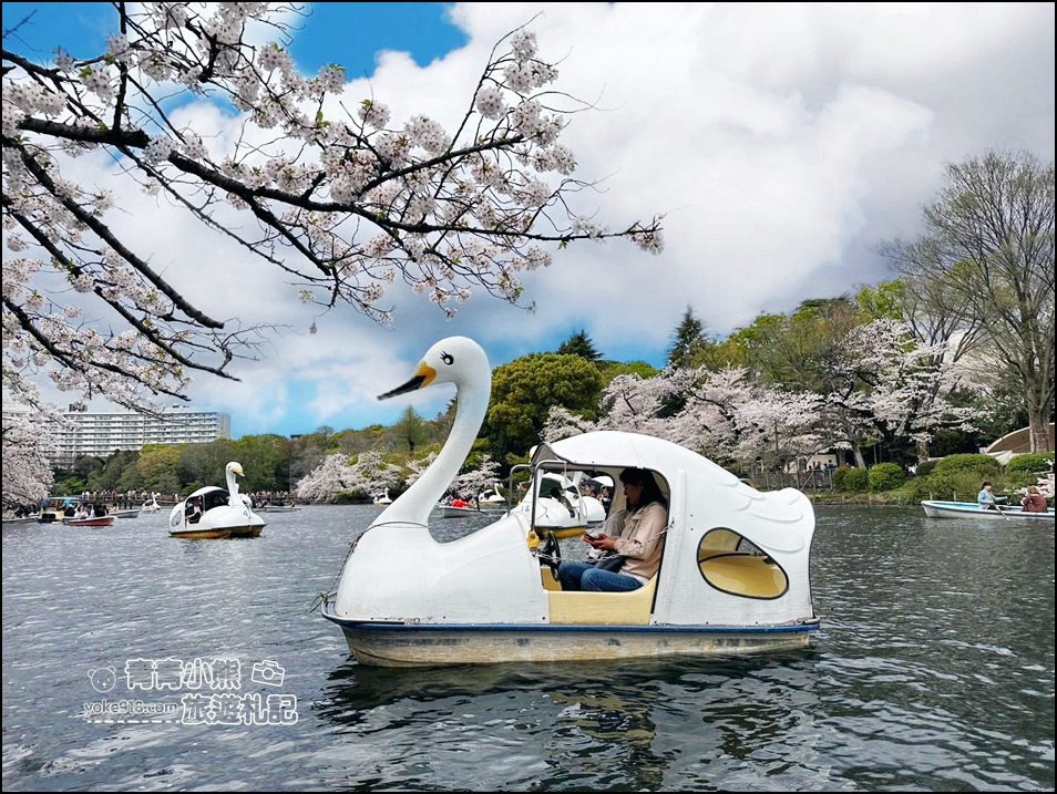 東京賞櫻景點》井之頭恩賜公園~吉祥寺櫻花名所百選，櫻花季來這划船賞櫻好悠閒 @青青小熊＊旅遊札記