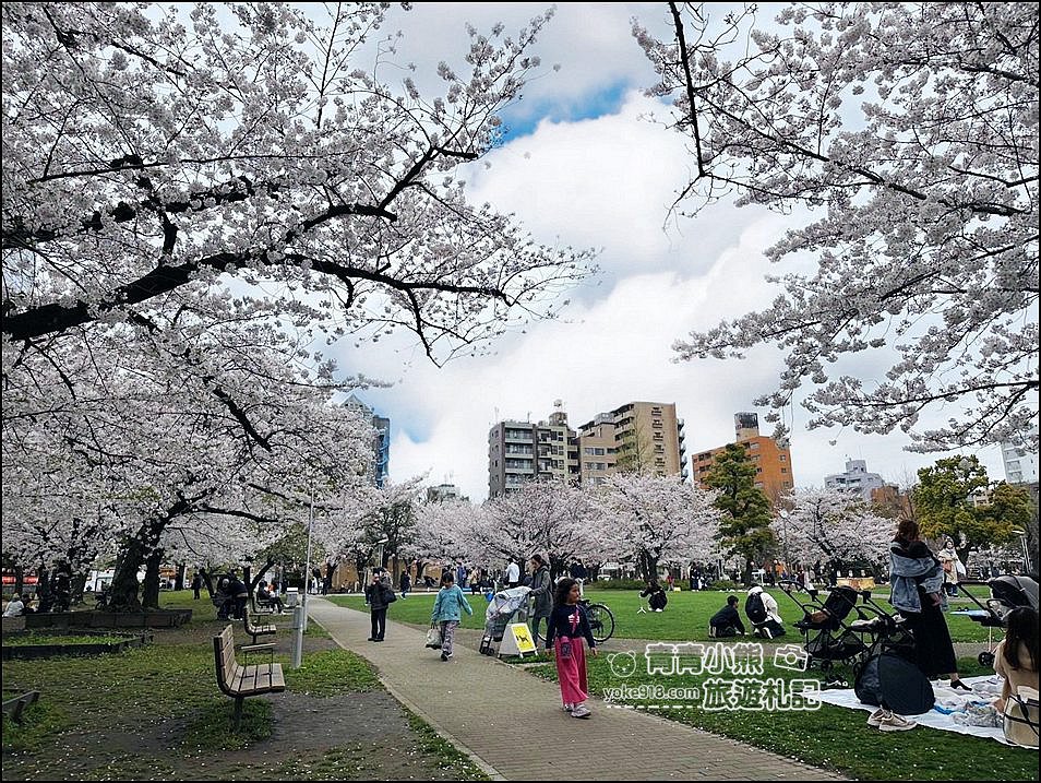 東京櫻花景點》錦糸町錦糸公園賞櫻花~與晴空塔一起野餐賞櫻 @青青小熊＊旅遊札記