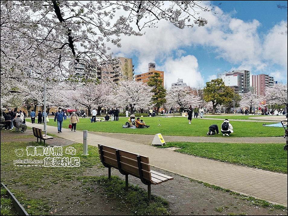 東京櫻花景點》錦糸町錦糸公園賞櫻花~與晴空塔一起野餐賞櫻 @青青小熊＊旅遊札記