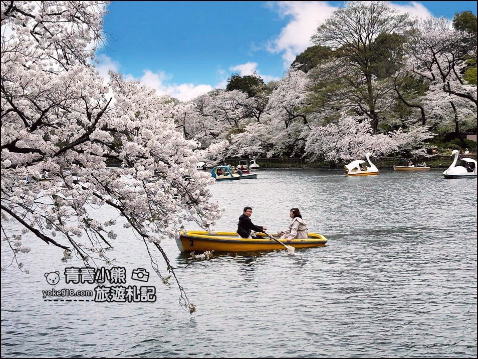東京賞櫻景點》井之頭恩賜公園~吉祥寺櫻花名所百選，櫻花季來這划船賞櫻好悠閒 @青青小熊＊旅遊札記