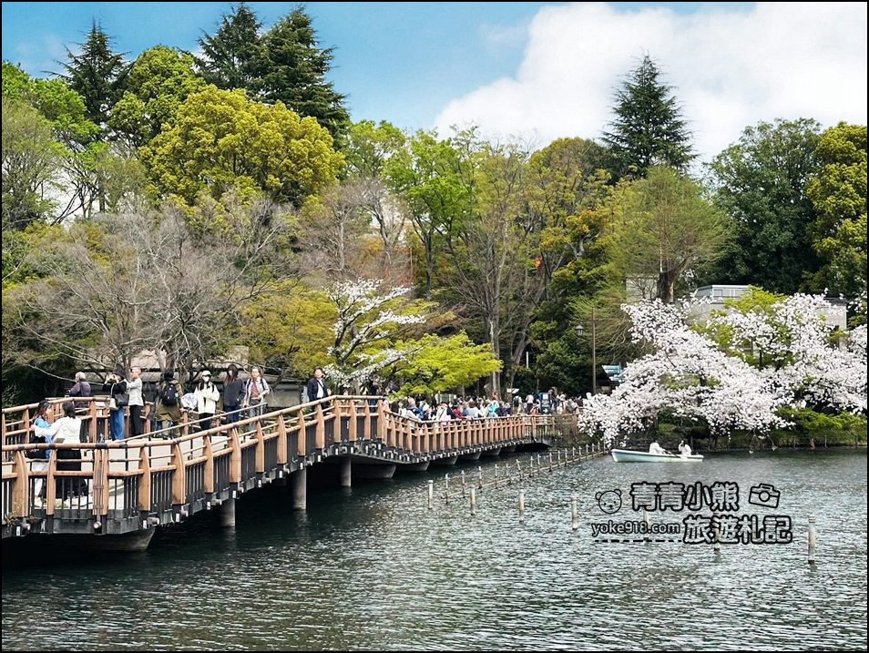 東京賞櫻景點》井之頭恩賜公園~吉祥寺櫻花名所百選，櫻花季來這划船賞櫻好悠閒 @青青小熊＊旅遊札記