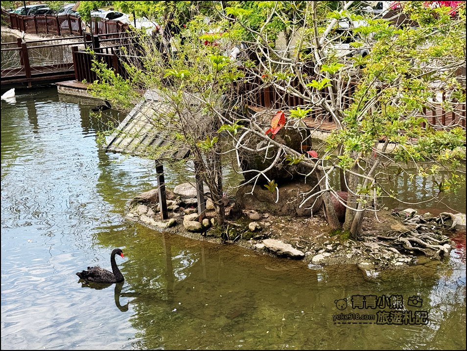 苗栗景點》山中的甜蜜城堡巧克力雲莊,賞花吃甜點還有DIY,住宿泡湯玩水也超讚 @青青小熊*旅遊札記 苗栗景點》山中的甜蜜城堡巧克力雲莊,賞花吃甜點還有DIY,住宿泡湯玩水也超讚 @青青小熊*旅遊札記