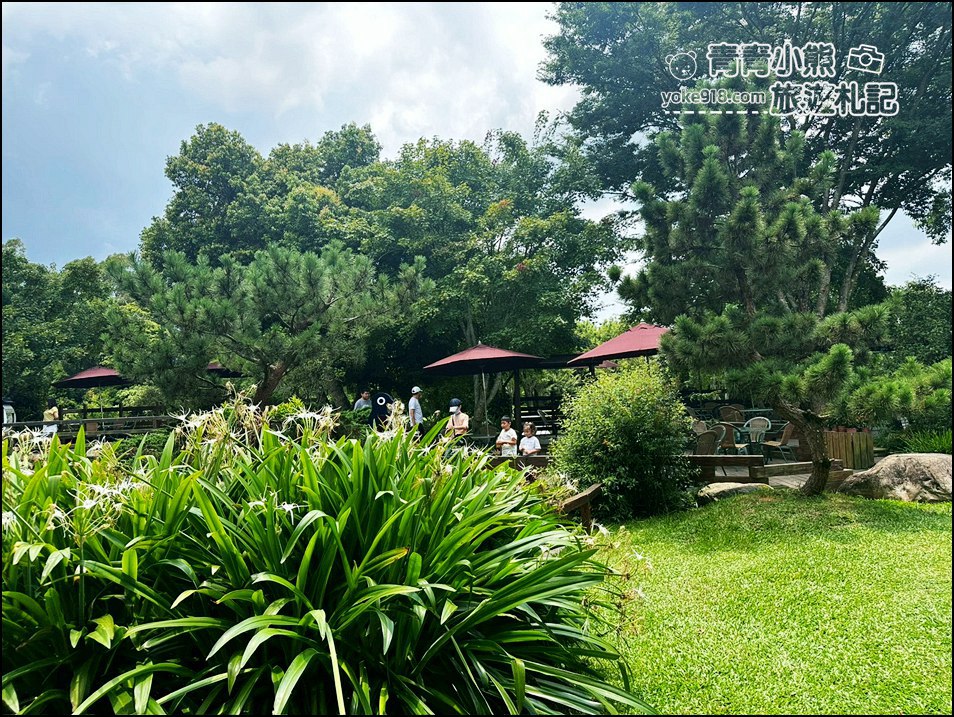 桃園景點》壹等賞「觀景茶園」景觀餐廳,美味評價4.4分,聚餐好去處 @青青小熊*旅遊札記 桃園景點》壹等賞「觀景茶園」景觀餐廳,美味評價4.4分,聚餐好去處 @青青小熊*旅遊札記