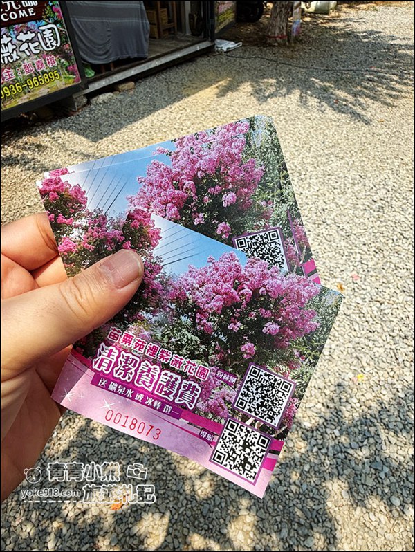 苗栗苑裡景點》紫薇花園花開了，各種繽紛色彩的花朵，走進花海大道超好拍 @青青小熊＊旅遊札記