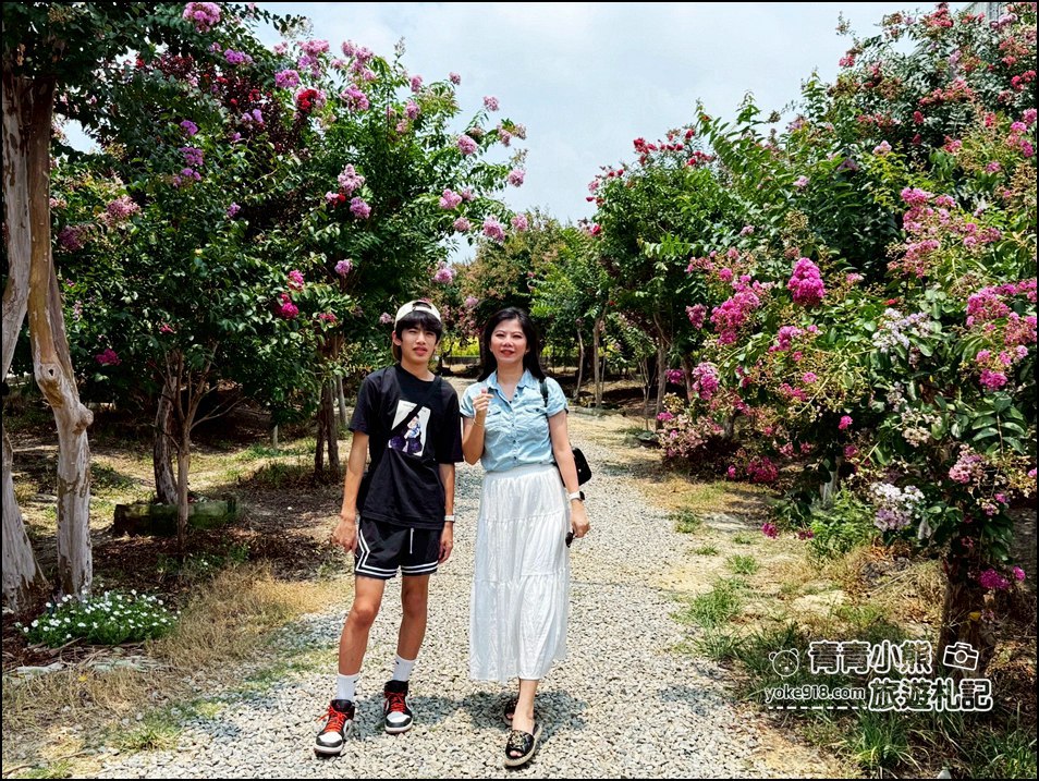 苗栗苑裡景點》紫薇花園花開了，各種繽紛色彩的花朵，走進花海大道超好拍 @青青小熊＊旅遊札記