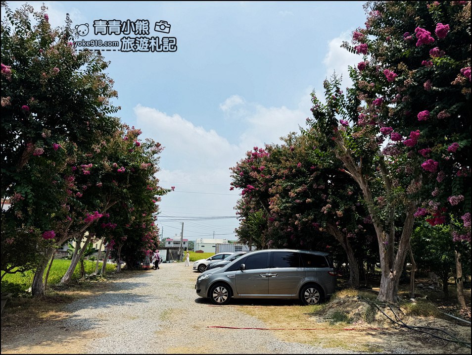 苗栗苑裡景點》紫薇花園花開了，各種繽紛色彩的花朵，走進花海大道超好拍 @青青小熊＊旅遊札記