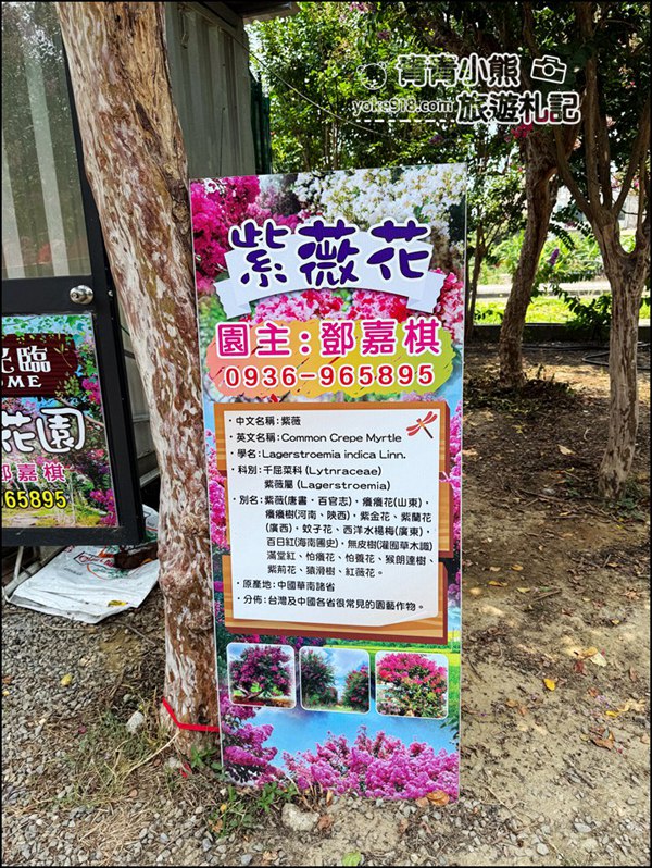 苗栗苑裡景點》紫薇花園花開了,各種繽紛色彩的花朵,走進花海大道超好拍 @青青小熊*旅遊札記 苗栗苑裡景點》紫薇花園花開了,各種繽紛色彩的花朵,走進花海大道超好拍 @青青小熊*旅遊札記