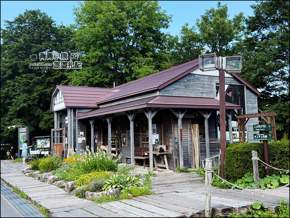 北海道旅遊》富良野必去景點~夢幻森林中的精靈露台，一年四季都像童話世界 @青青小熊＊旅遊札記