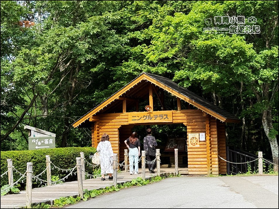 北海道旅遊》富良野必去景點~夢幻森林中的精靈露台,一年四季都像童話世界 @青青小熊*旅遊札記 北海道旅遊》富良野必去景點~夢幻森林中的精靈露台,一年四季都像童話世界 @青青小熊*旅遊札記