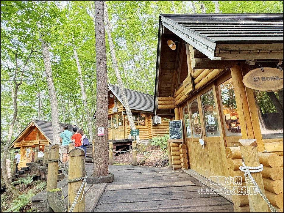 北海道旅遊》富良野必去景點~夢幻森林中的精靈露台,一年四季都像童話世界 @青青小熊*旅遊札記 北海道旅遊》富良野必去景點~夢幻森林中的精靈露台,一年四季都像童話世界 @青青小熊*旅遊札記