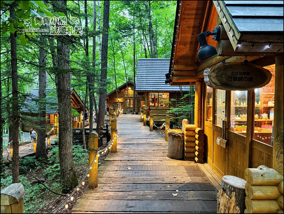 北海道旅遊》富良野必去景點~夢幻森林中的精靈露台,一年四季都像童話世界 @青青小熊*旅遊札記 北海道旅遊》富良野必去景點~夢幻森林中的精靈露台,一年四季都像童話世界 @青青小熊*旅遊札記