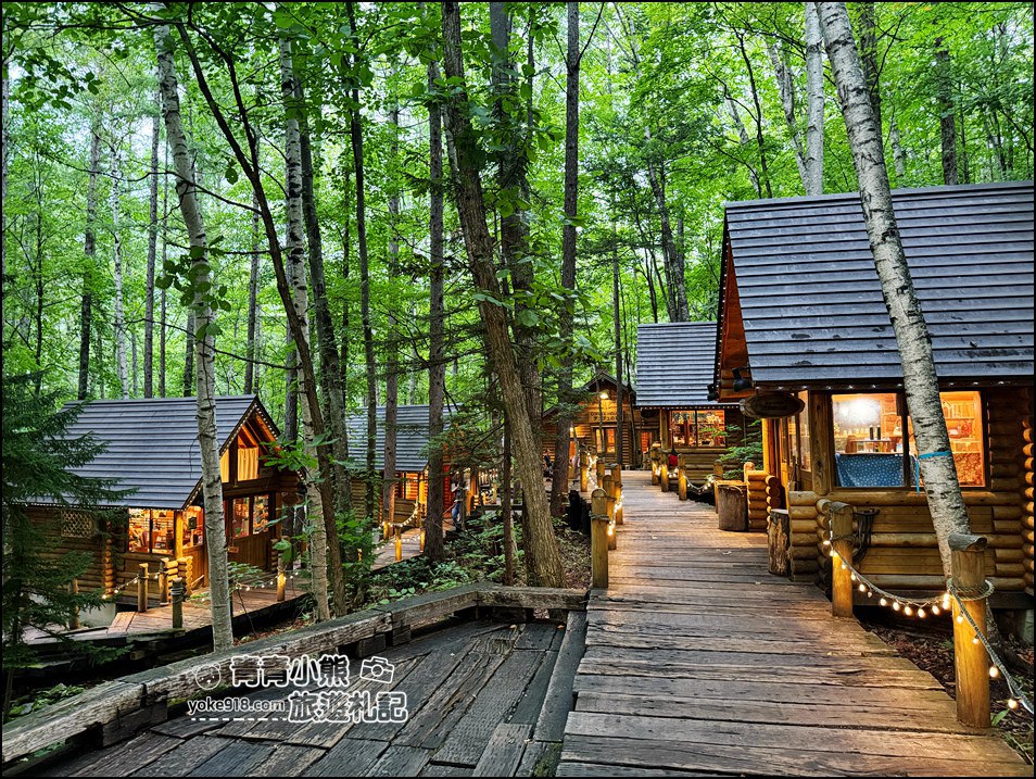北海道旅遊》富良野必去景點~夢幻森林中的精靈露台,一年四季都像童話世界 @青青小熊*旅遊札記 北海道旅遊》富良野必去景點~夢幻森林中的精靈露台,一年四季都像童話世界 @青青小熊*旅遊札記