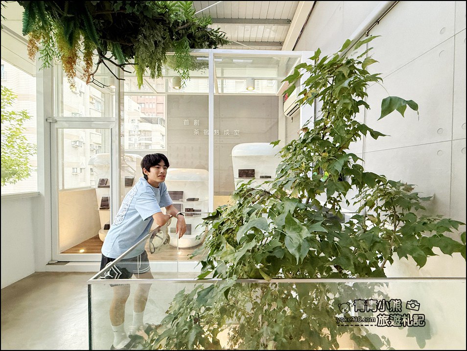 台中景點》吃茶三千台灣概念店現泡更好喝,一整棟的建築滿滿文青風好浮誇 @青青小熊*旅遊札記 台中景點》吃茶三千台灣概念店現泡更好喝,一整棟的建築滿滿文青風好浮誇 @青青小熊*旅遊札記