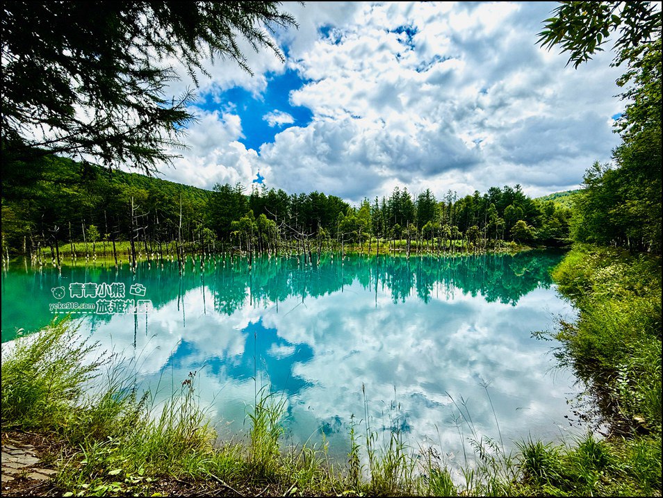 北海道必訪美景》美瑛白金青池~夢幻藍色池水與枯木倒影的散步天堂 @青青小熊*旅遊札記 北海道必訪美景》美瑛白金青池~夢幻藍色池水與枯木倒影的散步天堂 @青青小熊*旅遊札記