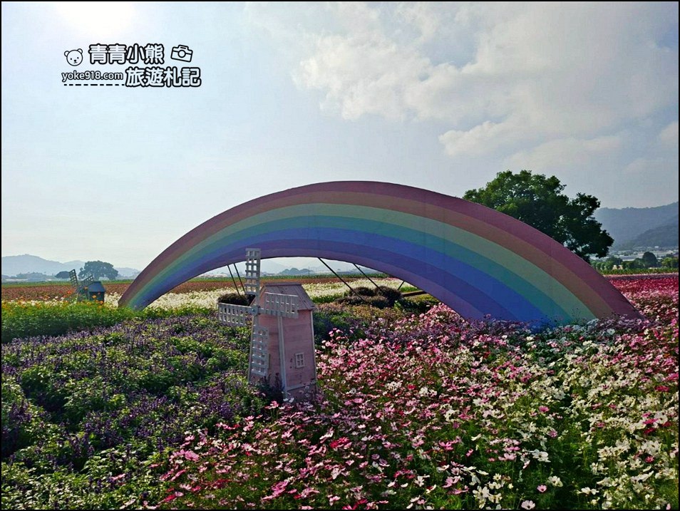 2025台中景點》台中國際花毯節在新社,飛天小女警陪你一同來賞花 @青青小熊*旅遊札記 2025台中景點》台中國際花毯節在新社,飛天小女警陪你一同來賞花 @青青小熊*旅遊札記