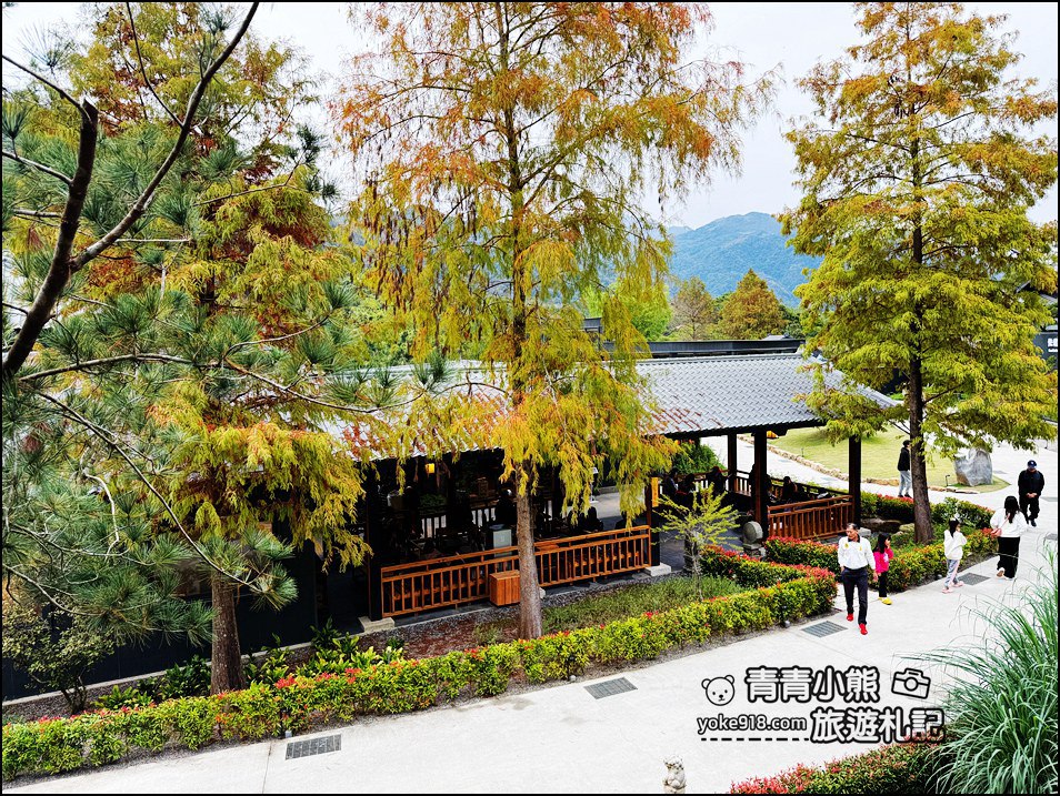 南投新景點推薦》春秋山林，森林泡腳、喝茶吃美食，一秒走進山林秘境 @青青小熊＊旅遊札記