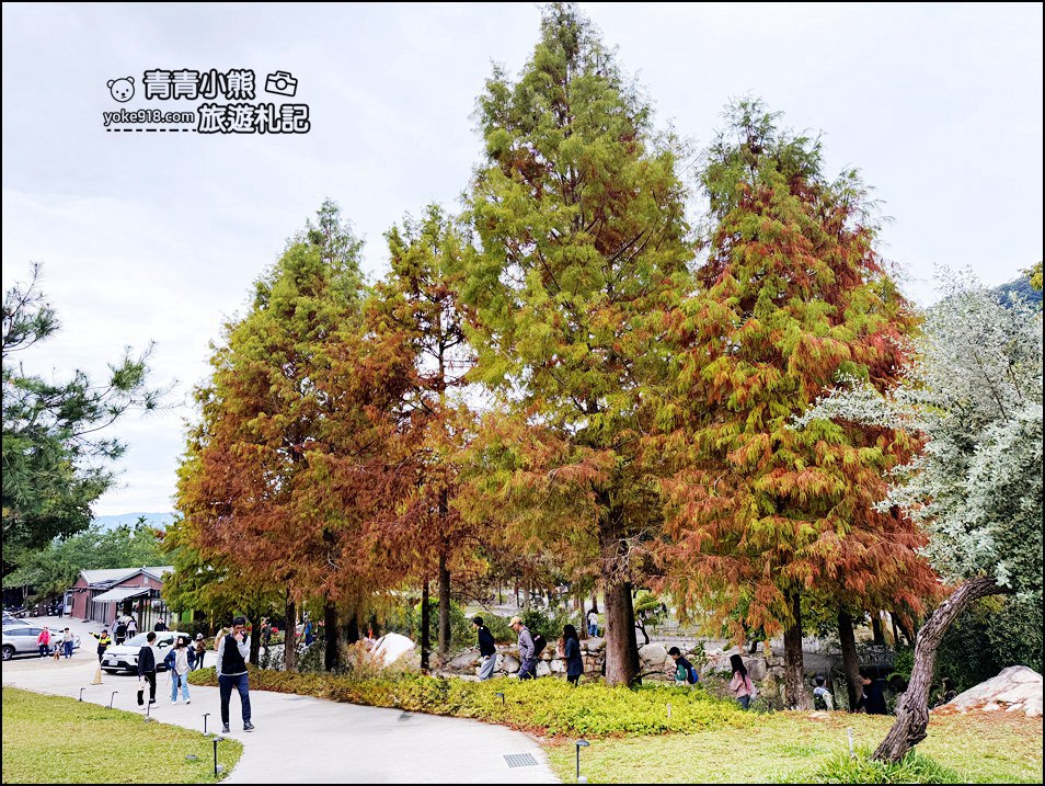 南投新景點推薦》春秋山林,森林泡腳、喝茶吃美食,一秒走進山林秘境 @青青小熊*旅遊札記 南投新景點推薦》春秋山林,森林泡腳、喝茶吃美食,一秒走進山林秘境 @青青小熊*旅遊札記