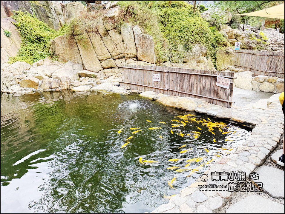 南投新景點推薦》春秋山林,森林泡腳、喝茶吃美食,一秒走進山林秘境 @青青小熊*旅遊札記 南投新景點推薦》春秋山林,森林泡腳、喝茶吃美食,一秒走進山林秘境 @青青小熊*旅遊札記