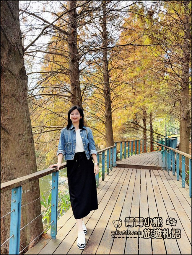 桃園景點》長庚養生村.落羽松湖畔散步去~水上平台木棧道好迷人 @青青小熊*旅遊札記 桃園景點》長庚養生村.落羽松湖畔散步去~水上平台木棧道好迷人 @青青小熊*旅遊札記