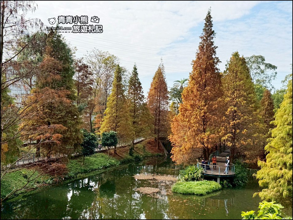 桃園景點》長庚養生村.落羽松湖畔散步去~水上平台木棧道好迷人 @青青小熊*旅遊札記 桃園景點》長庚養生村.落羽松湖畔散步去~水上平台木棧道好迷人 @青青小熊*旅遊札記